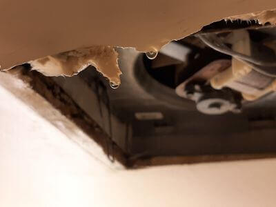 Professional water damage restoration services in Hawthorne - KoraSolace